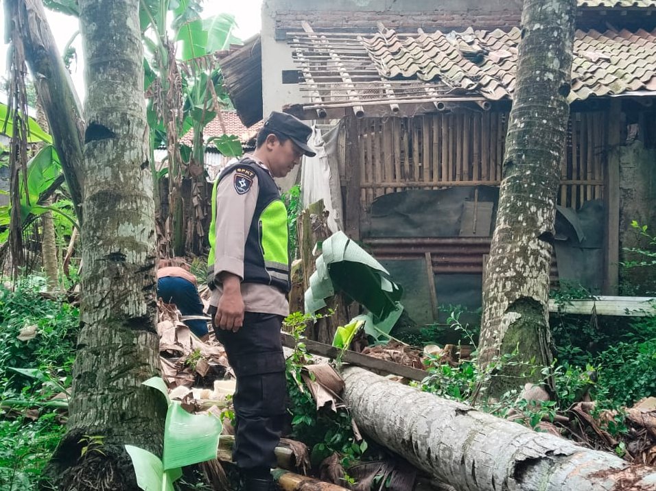 Angin Kencang Tumbangkan Pohon di Kebumen, Sejumlah Rumah Warga Rusak
