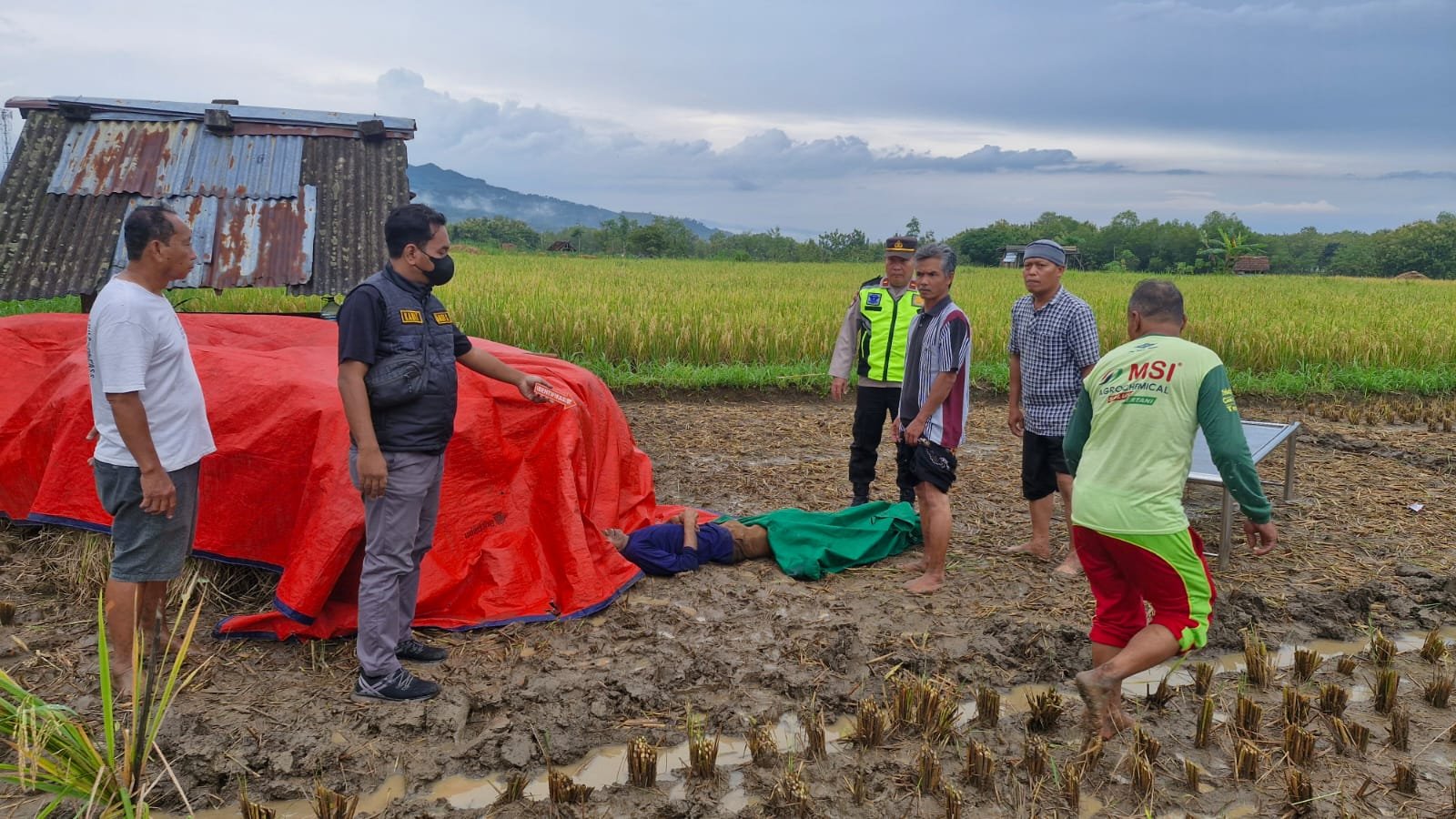 Pamit Ambil Sabit, Petani 80 Tahun di Wonogiri Ditemukan Meninggal di Sawah