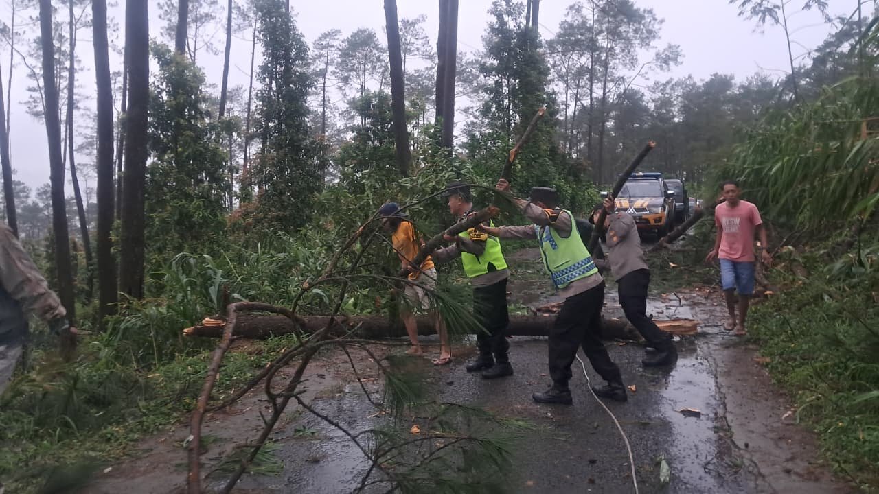 Polisi dan Warga Gotong Royong Singkirkan Pohon Tumbang di Jingkang