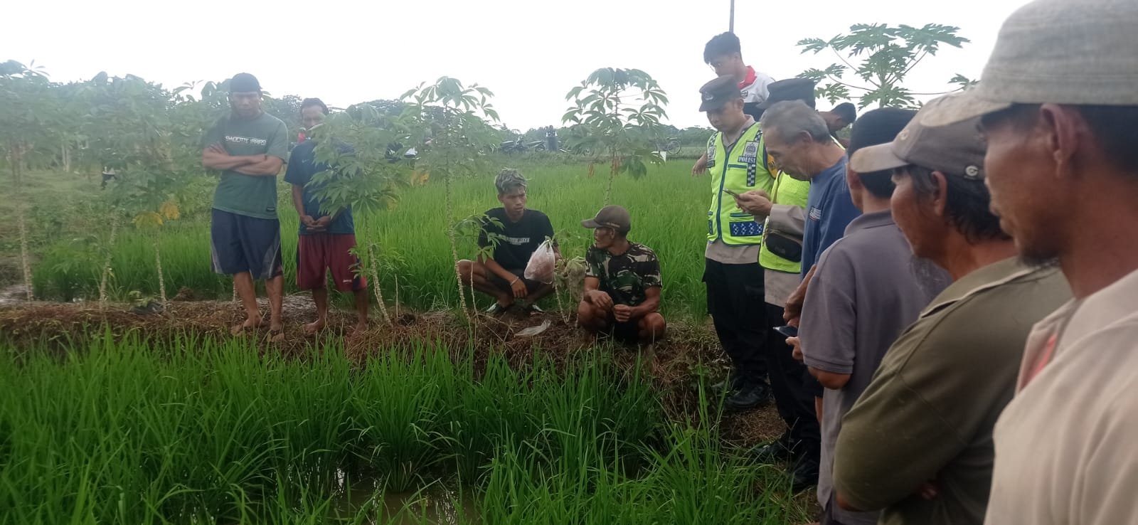 Petani di Kemangkon Ditemukan Meninggal di Sawah, Polisi Lakukan Pemeriksaan