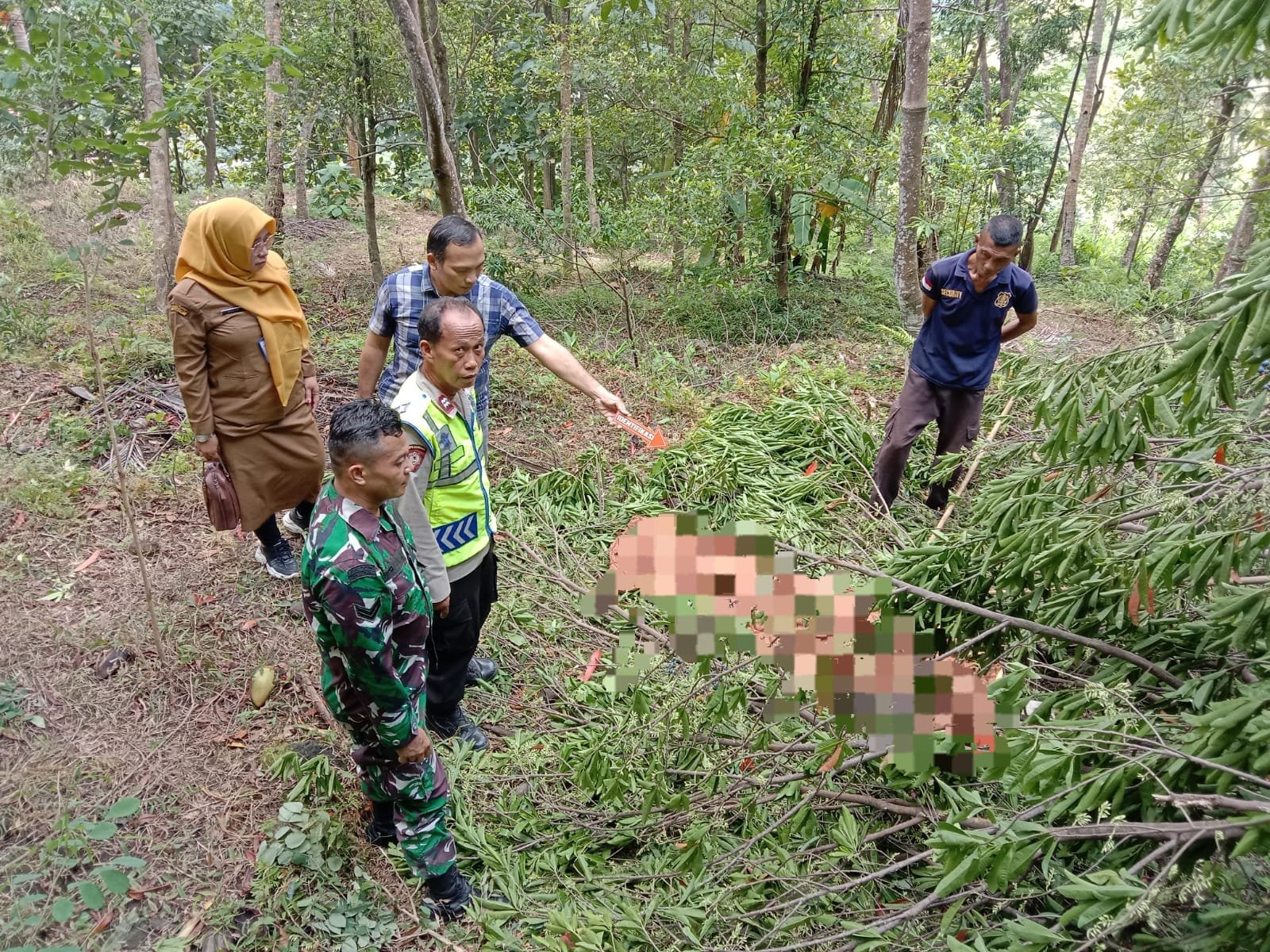 Petani di Sruweng Meninggal Dunia, Saat Jatuh Dari Pohon Jenitri