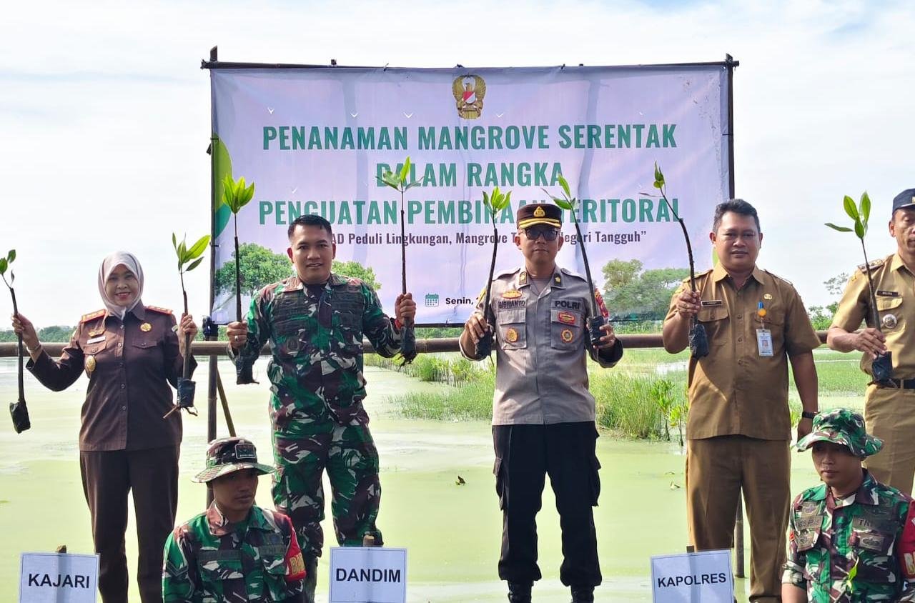 TNI AD dan Pemkab Pemalang Tanam 1.000 Mangrove di Pesisir Ketapang, Perkuat Benteng Abrasi Pantai