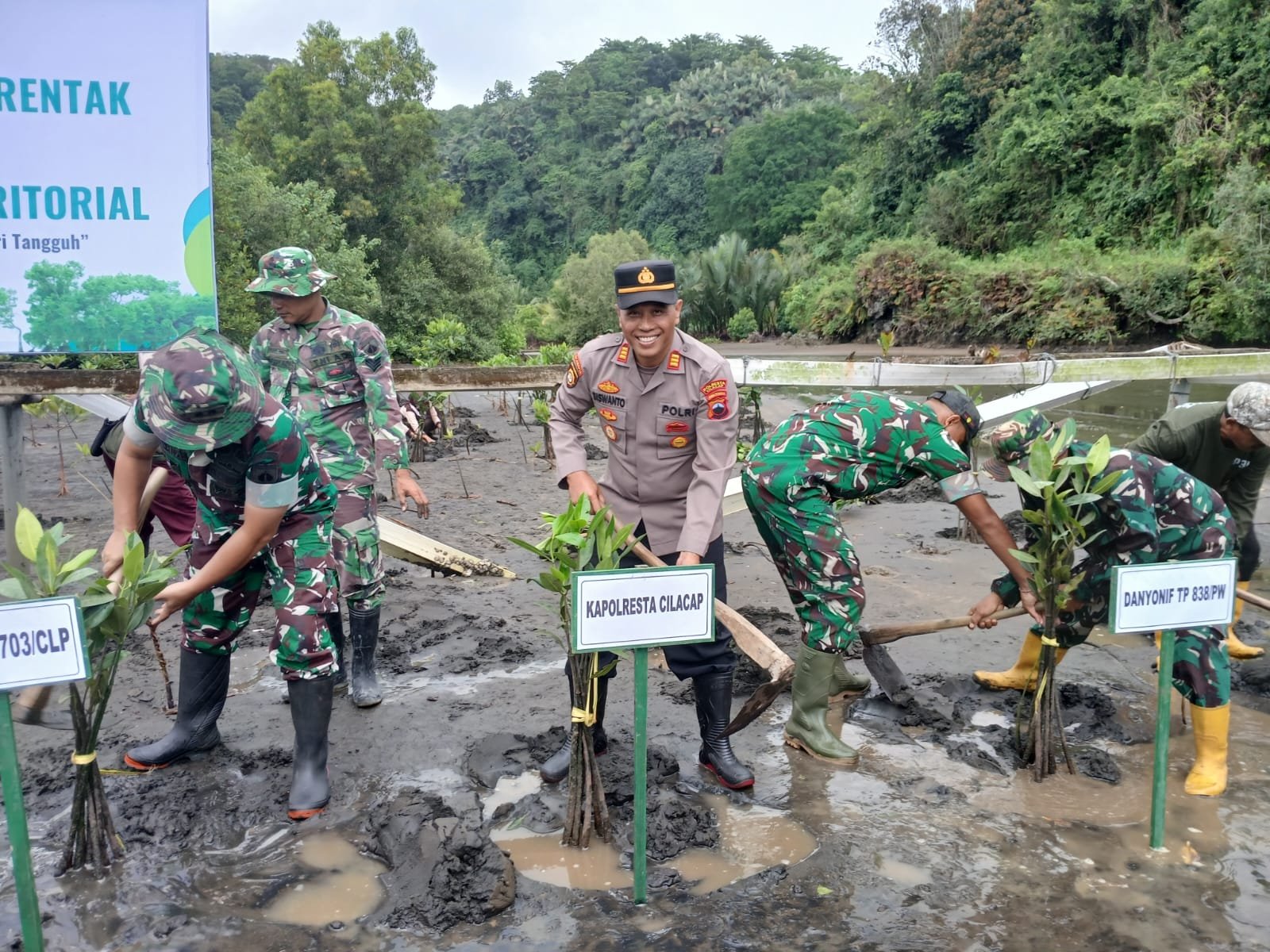 Hijaukan Pesisir Selatan Cilacap, Kapolsek Adipala dan Forkopimda Kompak Tanam Mangrove di Gunung Selok