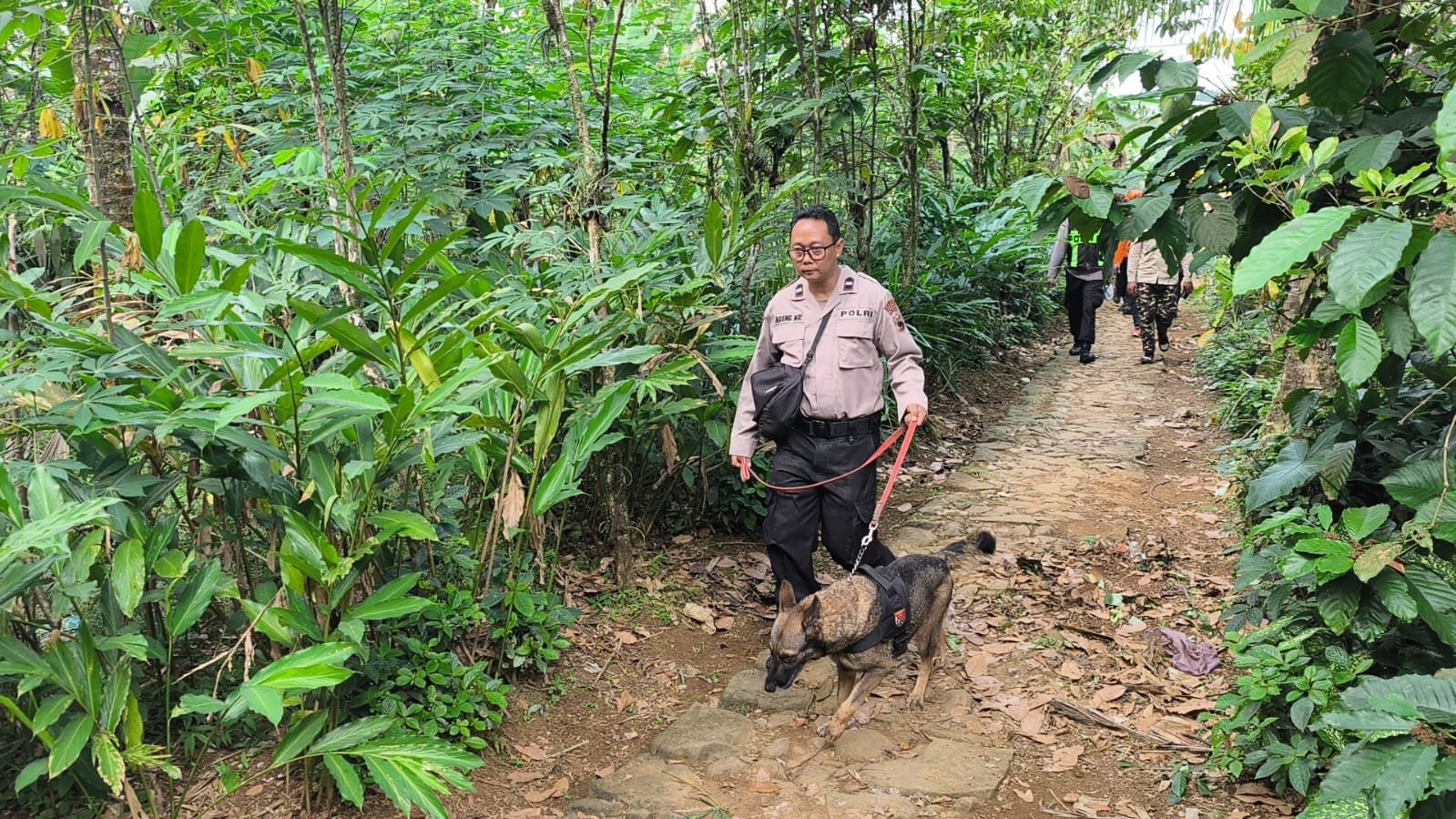 Anjing Pelacak K9 Diterjunkan, Polisi Perluas Pencarian Lansia Hilang di Hutan Karangmoncol