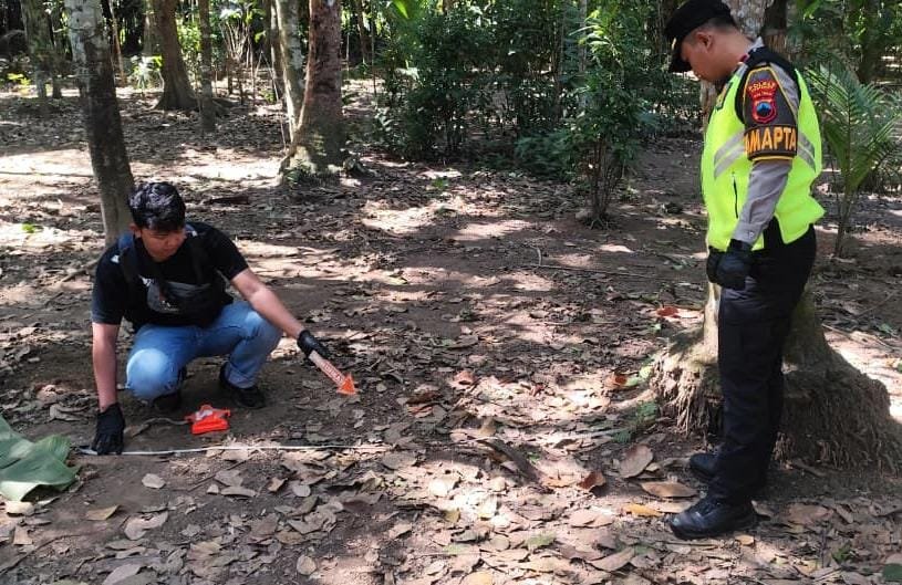 Pria di Puring Tewas Terjatuh dari Pohon Kelapa Saat Menderes Nira