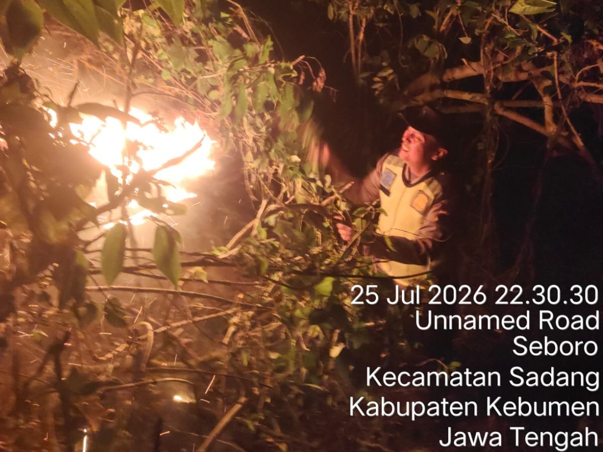 Hutan Pinus di Sadang Terbakar, Api Berhasil Dipadamkan Setelah Hampir 10 Jam