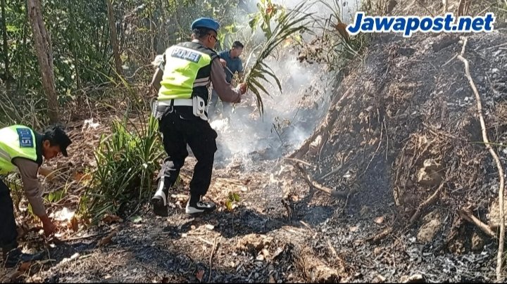 Lahan 1,3 Hektare Terbakar,Gegerkan Warga Grenggeng Kebumen