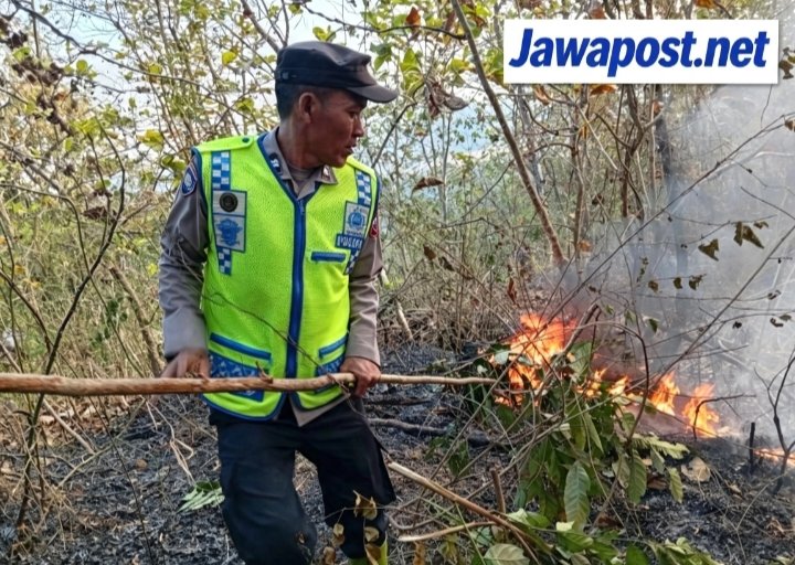 Kebakaran Lahan Merambat ke Hutan Perhutani, Warga dan Petugas Bergerak Cepat