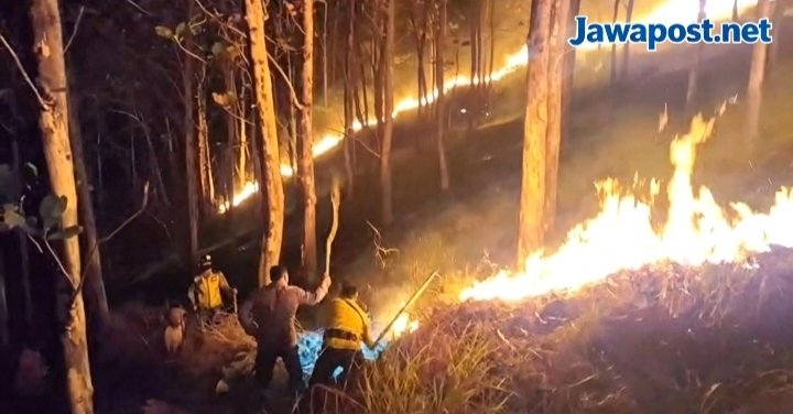 Kebakaran Lahan Jati di Ajibarang Dipadamkan, Tim Gabungan Bergerak Cepat