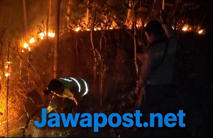 Dua Kebakaran Lahan Terjadi di Kebumen dalam Sehari