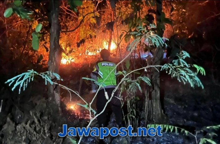 Kebakaran Lahap 5 Hektare, Lahan Perhutani di Kebumen